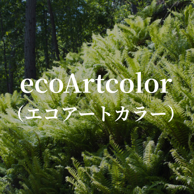 ecoArtcolor（エコアートカラー）